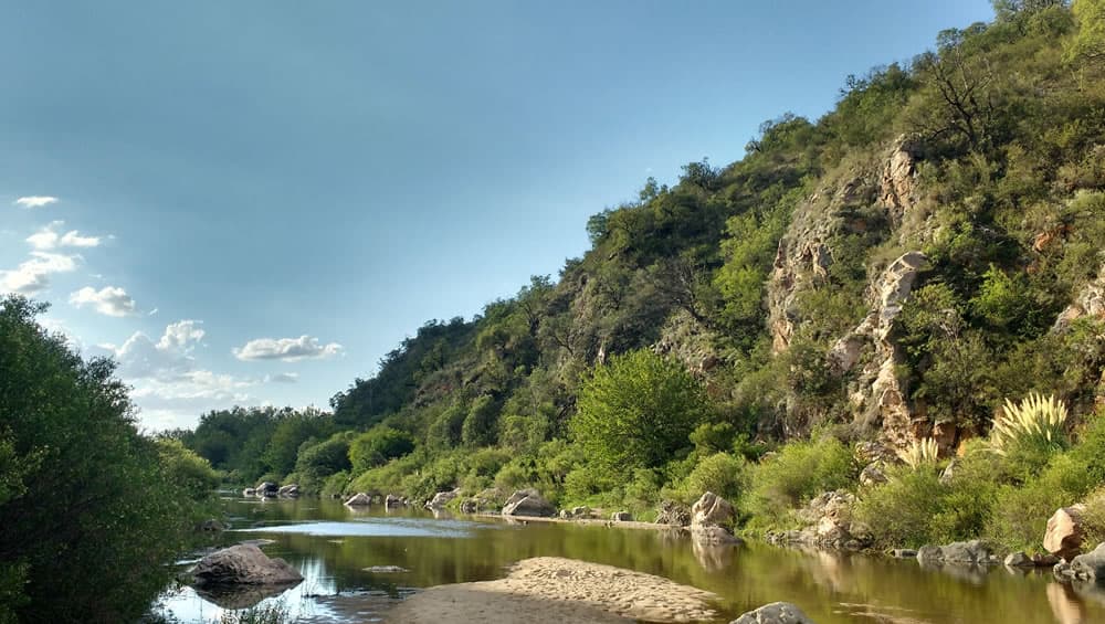 Arroyo con vegetación alrededor